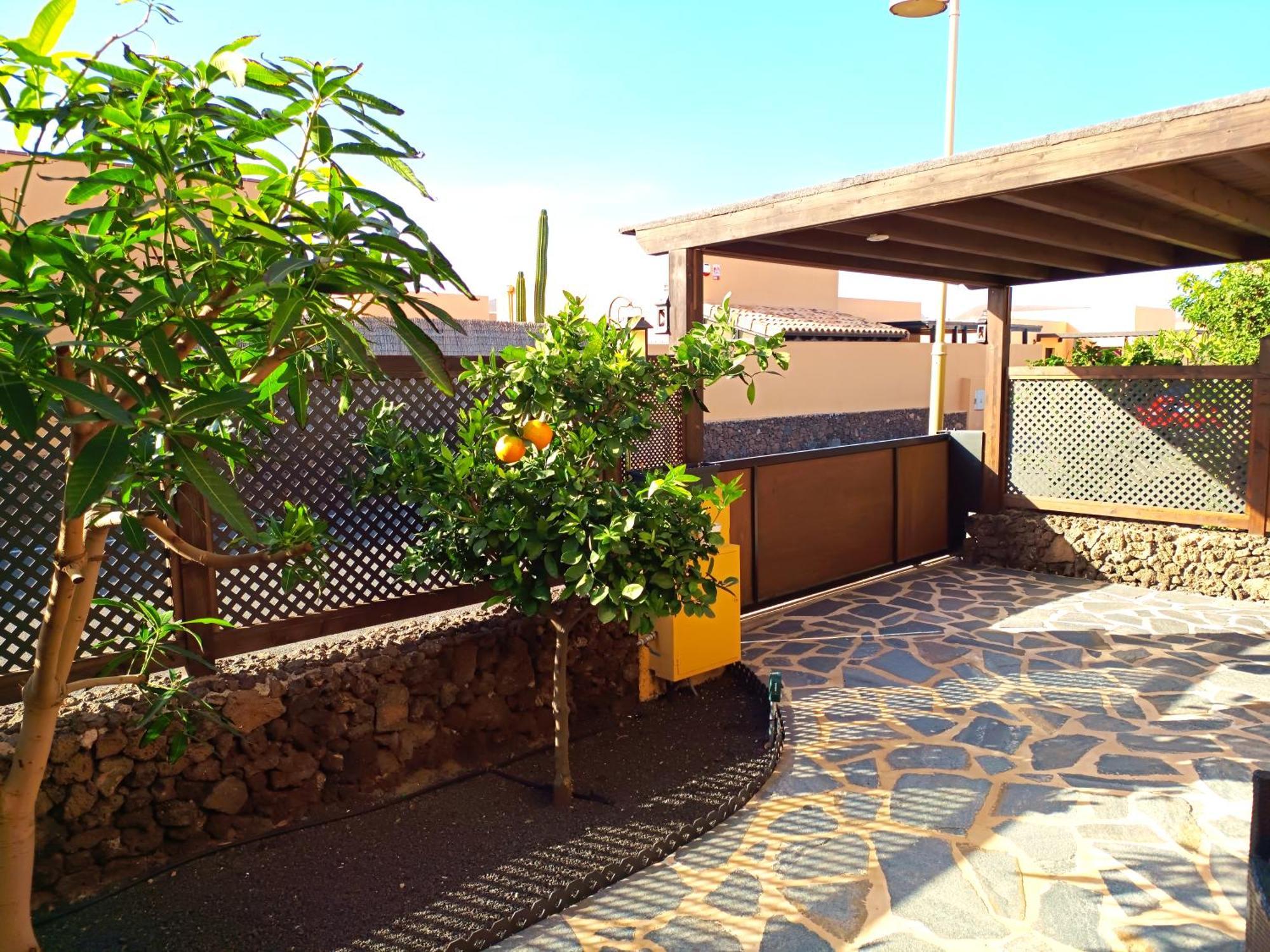 Villa Enola La Oliva Exterior foto